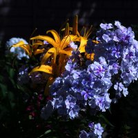 !!!! :: kolyeretka !!!! :: kolyeretka