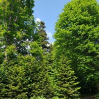 СЕВЕРНЫЙ КАВКАЗ :: Tata Wolf