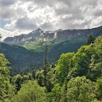 СЕВЕРНЫЙ КАВКАЗ :: Tata Wolf