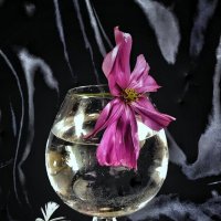 ..Жизнь не там, где бьётся сердце... а там, где оно замирает... :: TAMARA КАДАНОВА ..Жизнь не там, где бьётся сердце... а там, где оно замирает... :: TAMARA КАДАНОВА