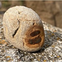 Интересный камень. :: Валерия Комова