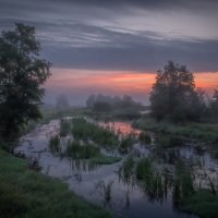 **** :: Елизавета .