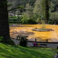 Magic Azores 66 :: Arturs Ancans