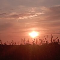 Мелодия заката :: Елена Семигина