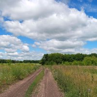 Проезжая по июлю... :: Андрей Заломленков
