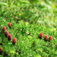 НАЧАЛО :: Виктор Никитенко НАЧАЛО :: Виктор Никитенко