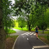 в Летнем Парке :: юрий поляков