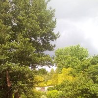 Парк :: Ирина 