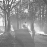 Робин, Робин, Робин... :: liudmila drake