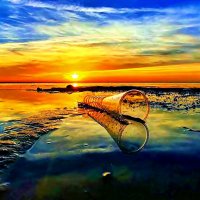 ПИВНОЙ   БОКАЛ   НА   БЕРЕГУ :: Анатолий Малобродский