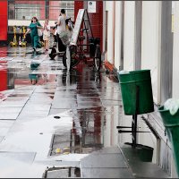 После ливня 2 :: Сергей Премонишын