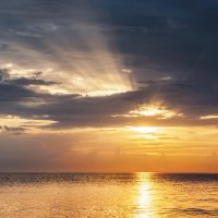 Про Питер :: Владимир Колесников