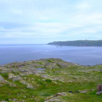Баренцево море :: Андрей Зайцев