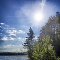 утро :: Ольга Cоломатина