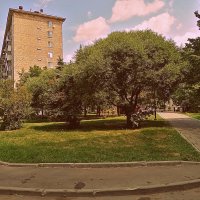 Московский двор. :: Владимир Драгунский