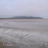 Природа Крыма :: Amazing Cosmea