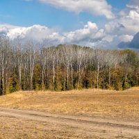 Осень :: Игорь Сикорский