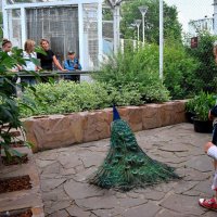 Надо только выучиться ждать! :: Татьяна Помогалова Надо только выучиться ждать! :: Татьяна Помогалова