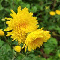 ,,, :: Сергей Тимоновский