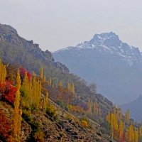 ПО НИЗАМ. :: Виктор Осипчук ПО НИЗАМ. :: Виктор Осипчук