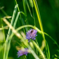 ___ :: Yuriy V ___ :: Yuriy V