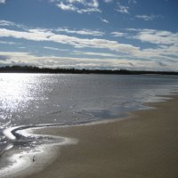 Городская протока :: Anna Ivanova