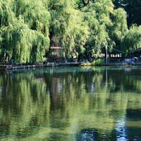 Отражение :: Аркадий Басович