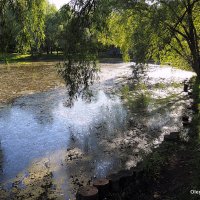 в старом парке :: Олег Лукьянов