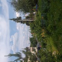 летний двор... :: Галина Флора