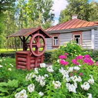 Мелихово :: Наталья 