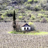 Домик Виноградаря :: Геннадий Валеев Домик Виноградаря :: Геннадий Валеев