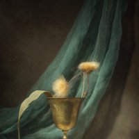 *** :: Oleg Rastorguev *** :: Oleg Rastorguev