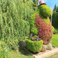 Бегомотик :: Надежда 