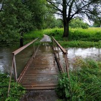 Будете смеяться, но под Дождь я НЕ попал :-) :: Андрей Лукьянов