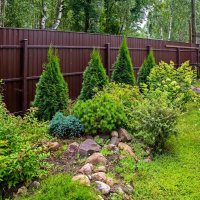 Ландшафтный дизайн у сына на даче :: Валерий Иванович Ландшафтный дизайн у сына на даче :: Валерий Иванович