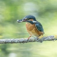 Александр Балаев :: юрий макаров Александр Балаев :: юрий макаров