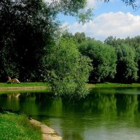 На озере :: Елена Семигина