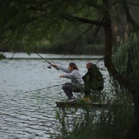 Раевское :: михаил суворов