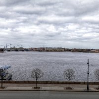 Взгляд на Неву из Эрмитажа :: Евгений 