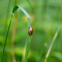 ___ :: Yuriy V ___ :: Yuriy V