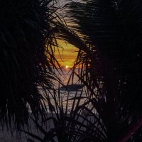 Скорость :: Renkse L.J.