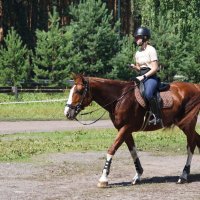 Прогулка :: Наталия Григорьева