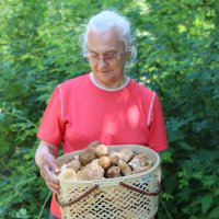 Удачная прогулка :: Валерий 