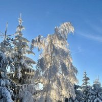 В горах Черного леса :: А  И М