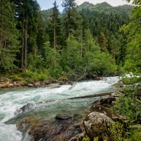 Махар :: Дмитрий Емельянов