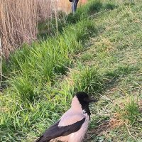 Хозяйка! :: Ольга 