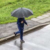 На улице дождь :: Валерий Иванович