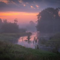 **** :: Елизавета .