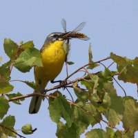 Всё лучшее детям! :: Георгий Бондаренко Всё лучшее детям! :: Георгий Бондаренко
