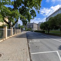 Прогулки по Крестовскому острову :: Евгений 